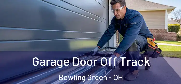  Garage Door Off Track Bowling Green - OH