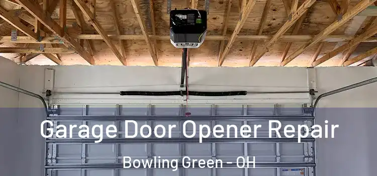  Garage Door Opener Repair Bowling Green - OH
