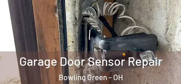 Garage Door Sensor Repair Bowling Green - OH
