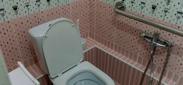 Meeting Diverse Needs With Accessible Restroom Solutions in Bowling Green, OH