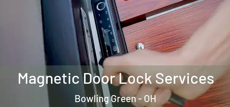 Magnetic Door Lock Services Bowling Green - OH